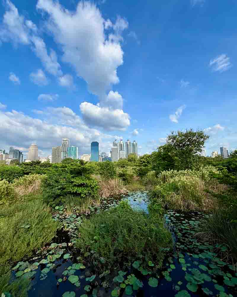 Benjakitti Park, Sukhumvit - Bangkok